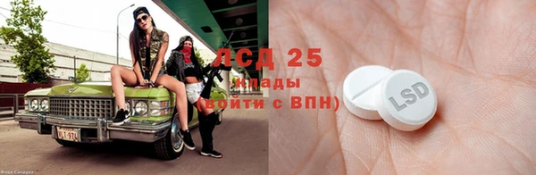 ГАЛЛЮЦИНОГЕННЫЕ ГРИБЫ Белоозёрский