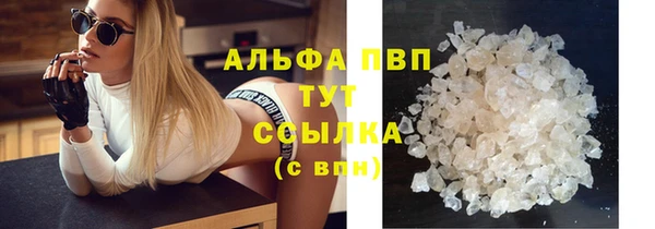 ГАЛЛЮЦИНОГЕННЫЕ ГРИБЫ Белоозёрский