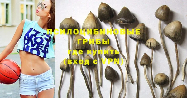 ГАЛЛЮЦИНОГЕННЫЕ ГРИБЫ Белоозёрский
