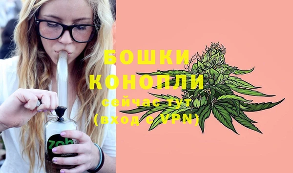 крисы Белокуриха