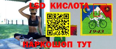 ALPHA PVP Гусев