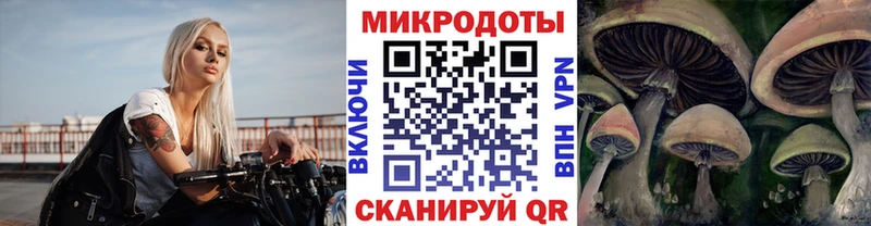 Галлюциногенные грибы Psilocybine cubensis  магазин    Горячий Ключ 