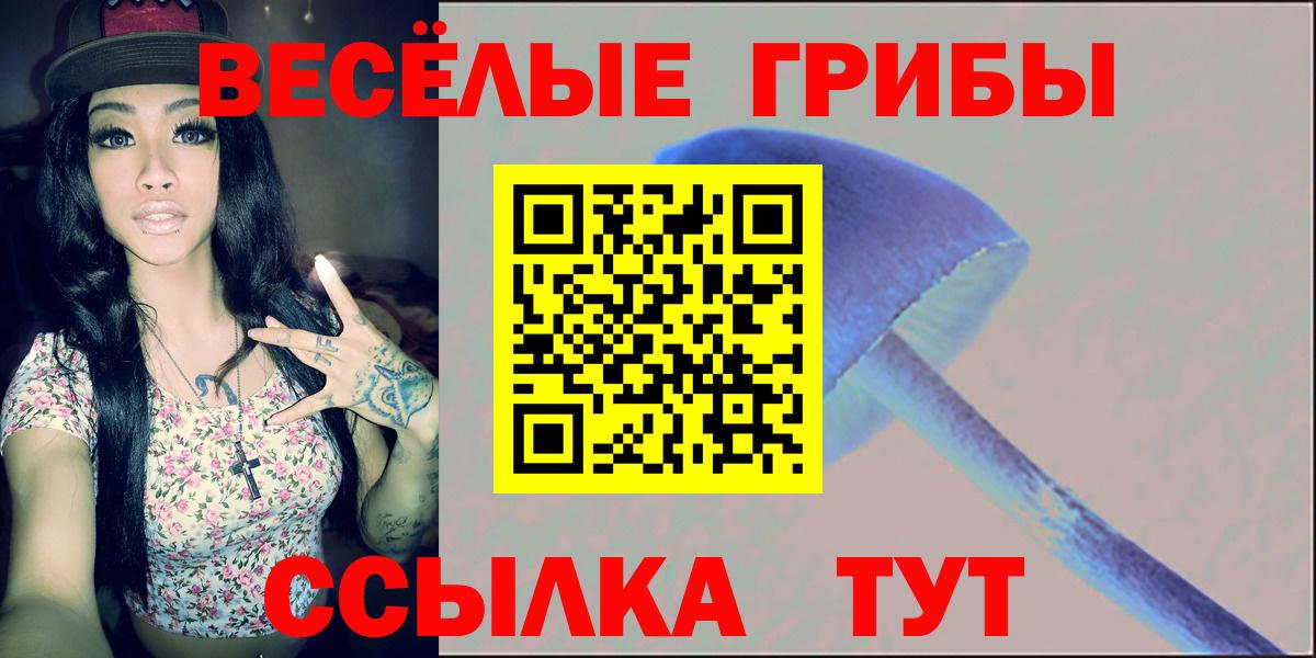 Псилоцибиновые грибы ЛСД  Вход с VPN  Горячий Ключ 